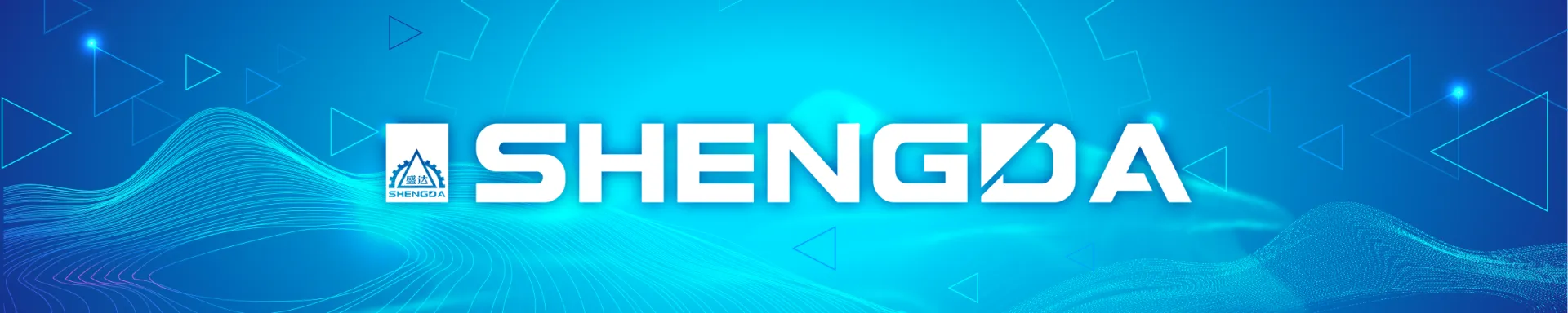 Shengda LOONG JL-2000 — kapak görseli
